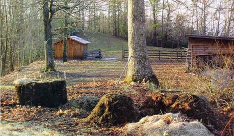 Home Composting Made Easy Image